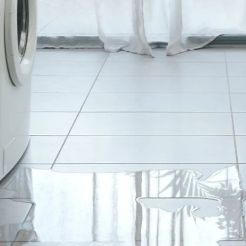 Appliance Leak Cleanup in Culpeper, VA