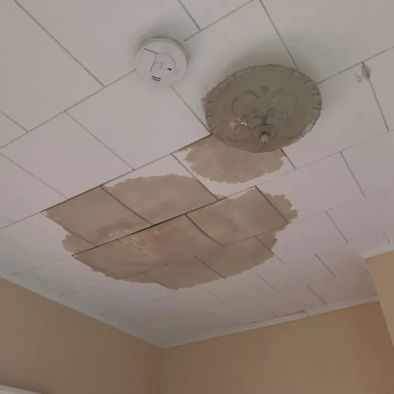 Ceiling Water Damage Repair in Culpeper, VA